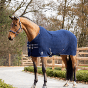LeMieux Arika Clima-Tek Rug